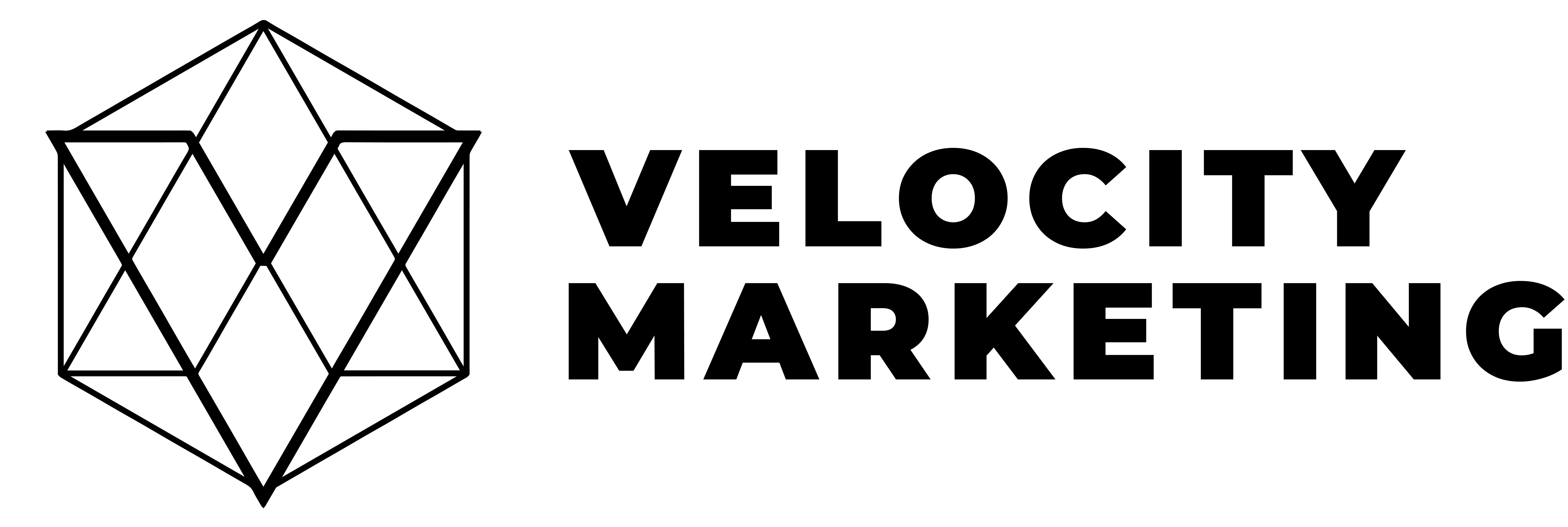 Velocity Marketing Logo